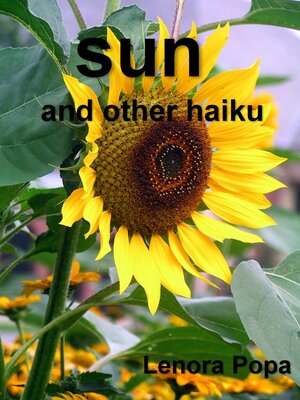 cover image of Sun